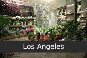 Alisol Discount & Flower Store Los Angeles