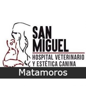 Clinica, Hospital Y Estetica Canina San Miguel