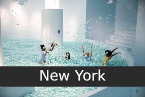 Color Factory New York