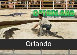 Gatorland Orlando