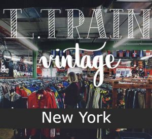 L Train Vintage new york