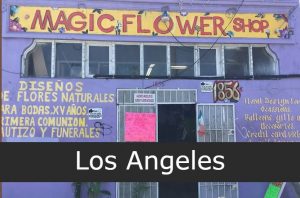 Magic Flower Shop Los Angeles