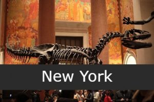 Museo Americano de Historia Natural