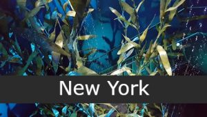 National Geographic Encounter