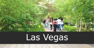 Pasear Por The Park las vegas