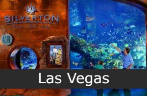 Pecera del Silverton Hotel las vegas
