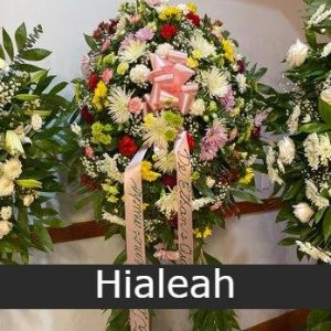bajuel flowers hialeah