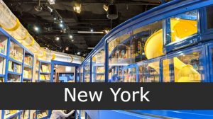 camp new york