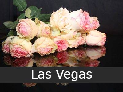 el jardin del pulpo LAS VEGAS