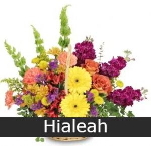 federal florist hialeah