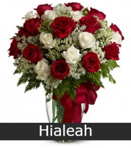 premium florest Hialeah
