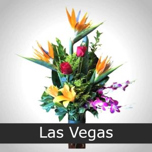 tiger lily las vegas