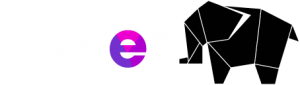 Ayser