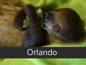 Exotic Animal Experience