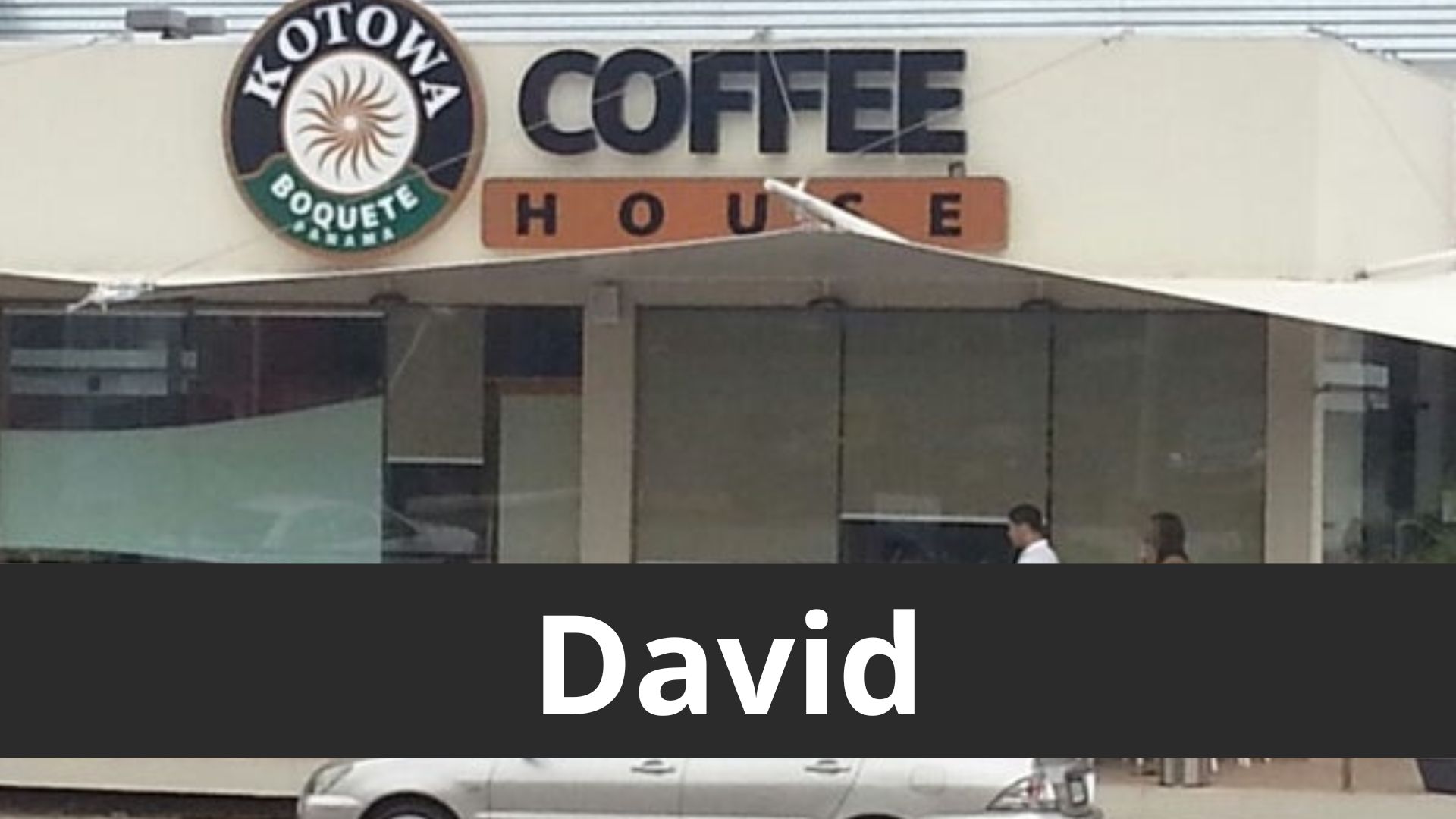kotowa david
