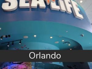 SEA LIFE Orlando Aquarium