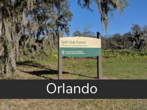 Split Oak Forest Wildlife and Environmental Area