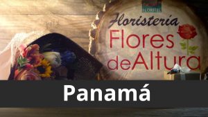 floristeria de altura