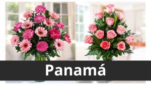 floristeria kapary