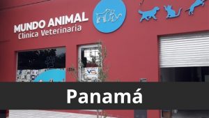 clinica veterinaria mundo animal