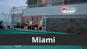 Avalon Salon